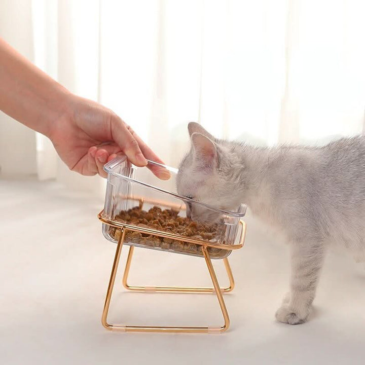 BowLift | PETCHIC – Raised feeding bowl for healthy eating posture for cats & small dogs