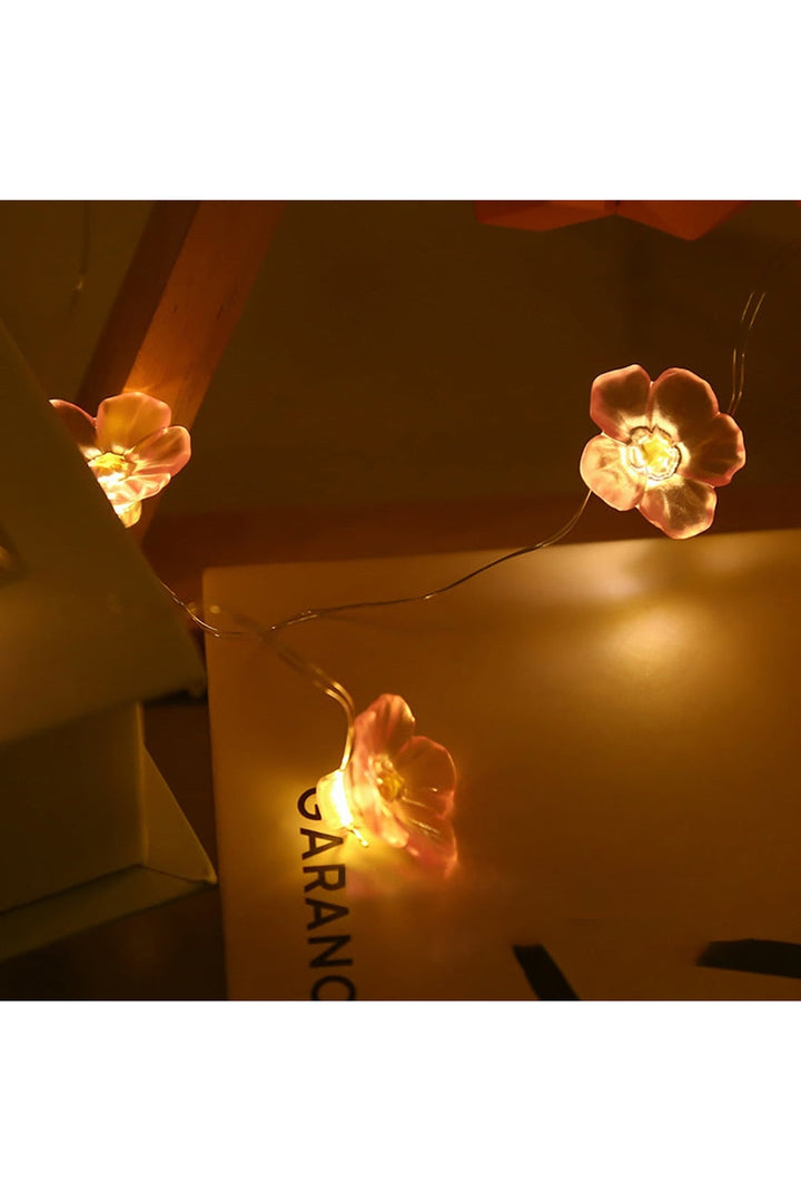 Blossom LED Light Net | Bowlift