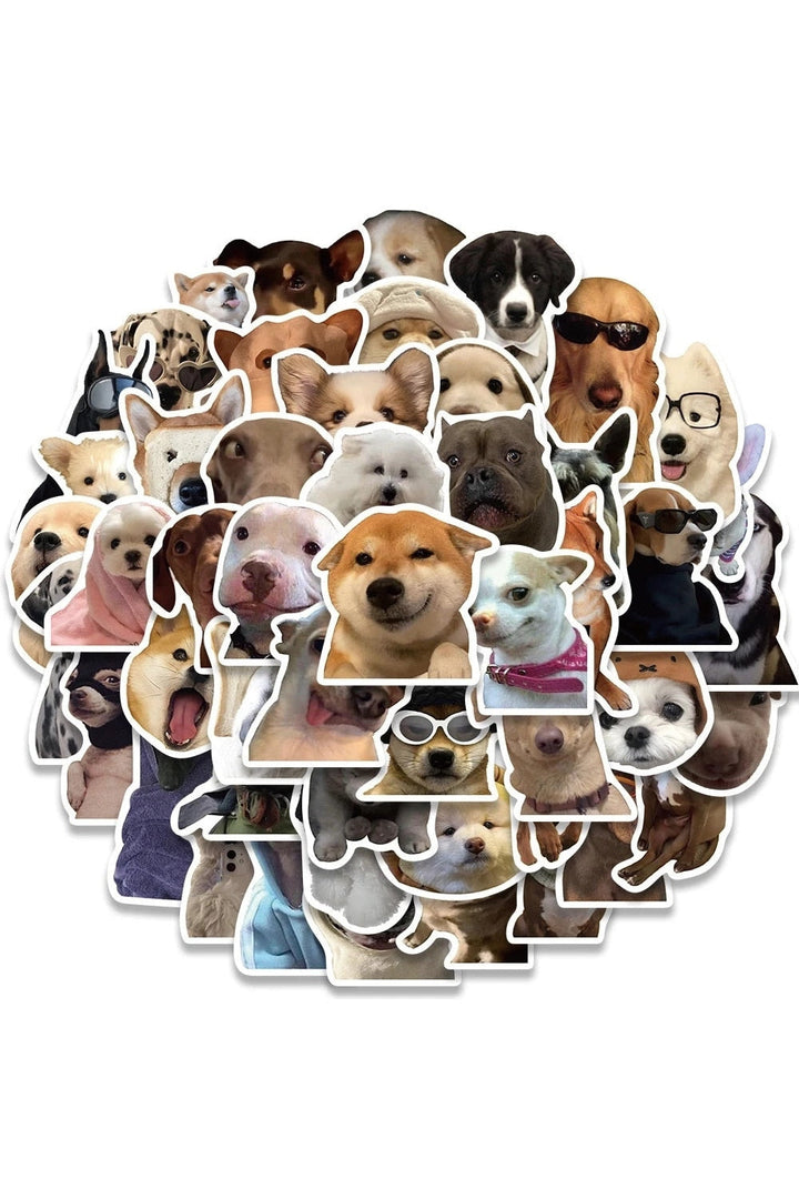 Cat Meme Funny Stickers 10/30/50/100 Pieces | Bowlift