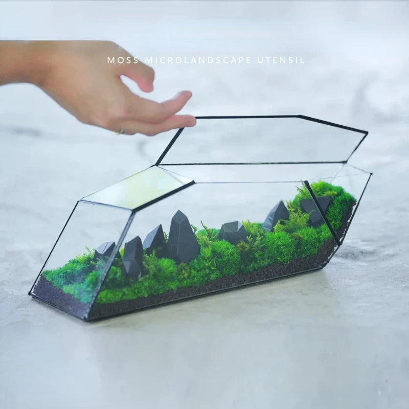 BowLift | Geometric Glass Moss Planter Terrarium Vase
