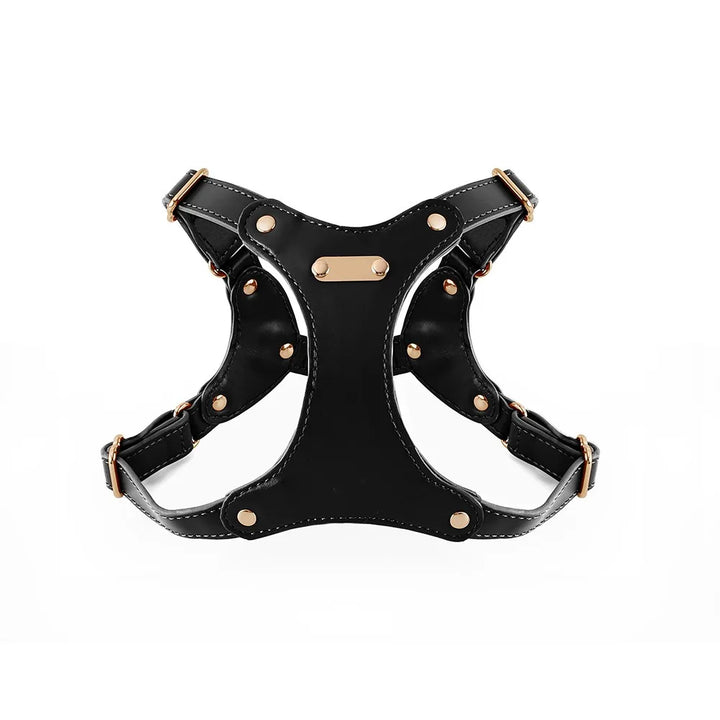 Adjustable Leather Dog Harness with Custom Engraving Bowlift