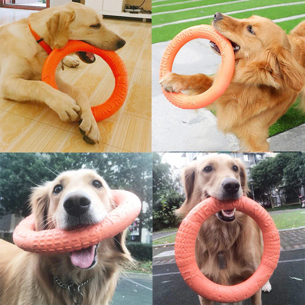 Floating EVA Training Ring for Dogs Bowlift