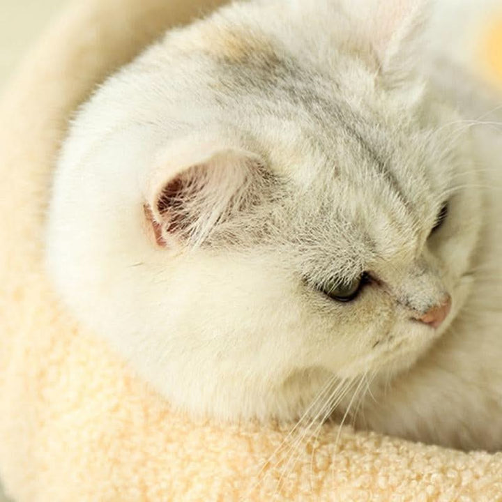 BowLift | MeowHaven Nest – Stylish Cat Bed with Scratching Area & Cuddly Pillow