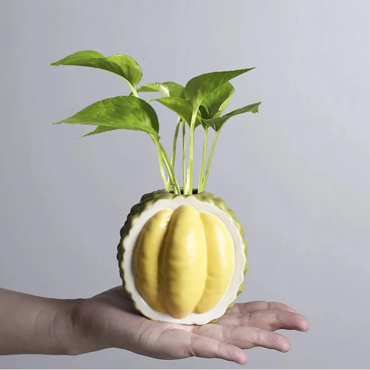 Durian-Shaped Ceramic Vase | Bowlift