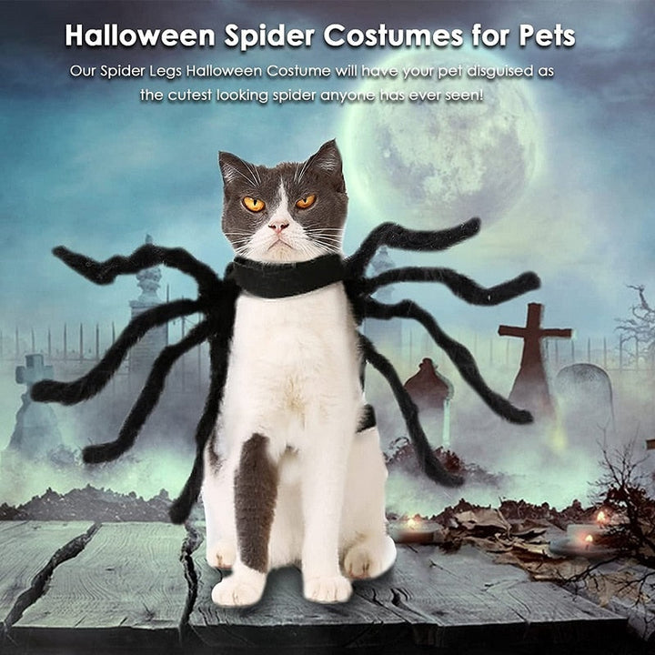 BowLift | Black Spider Pet Costume