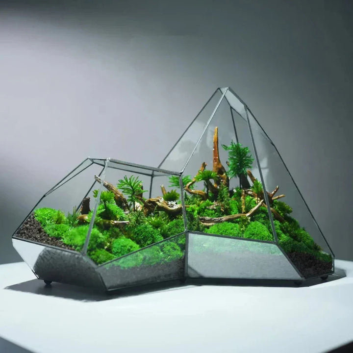 Geometric Glass Moss Planter Terrarium Vase | Bowlift