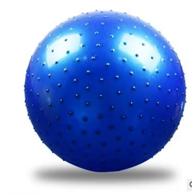 BowLift | PVC Exercise Ball for Home Gym and Pilates Stability Training