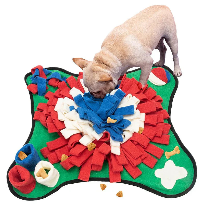 ScentQuest Interactive Sniffing Mat – SniffMaster Bowlift