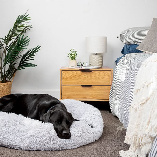 BowLift | FUZZYPLUSH – Orthopedic Plush Dog Bed for Deep Sleep