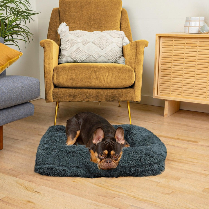 BowLift | SNUGPAW - Orthopedic Dog Bed
