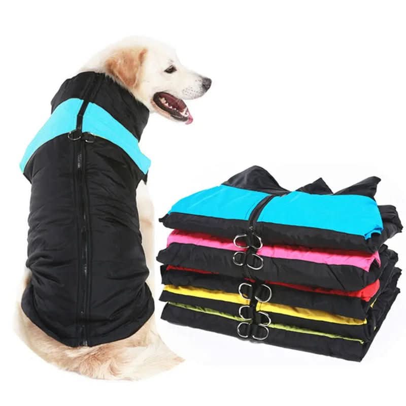 BowLift | Winter jacket for dogs with protection & comfort