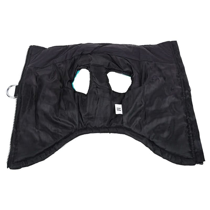 BowLift | Winter jacket for dogs with protection & comfort