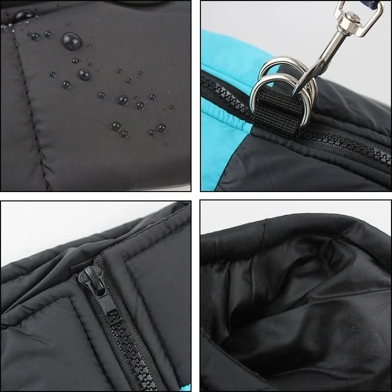 BowLift | Winter jacket for dogs with protection & comfort