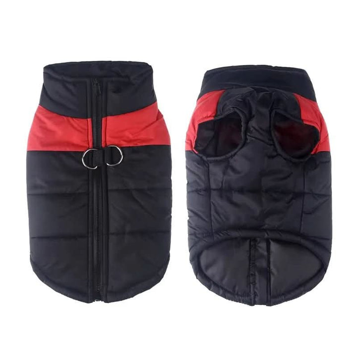 BowLift | Winter jacket for dogs with protection & comfort