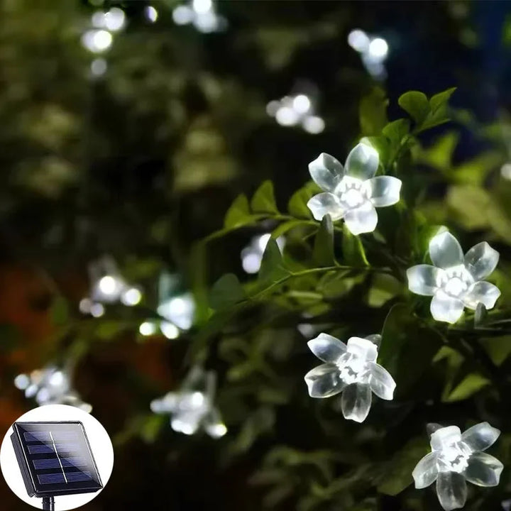 BowLift | Floral glow for every day in the garden