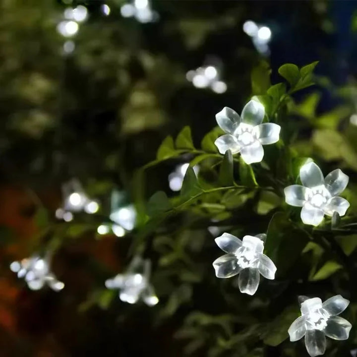 BowLift | LuxeLumen Garden Flower | Elegant solar-powered lighting for an enchanting garden