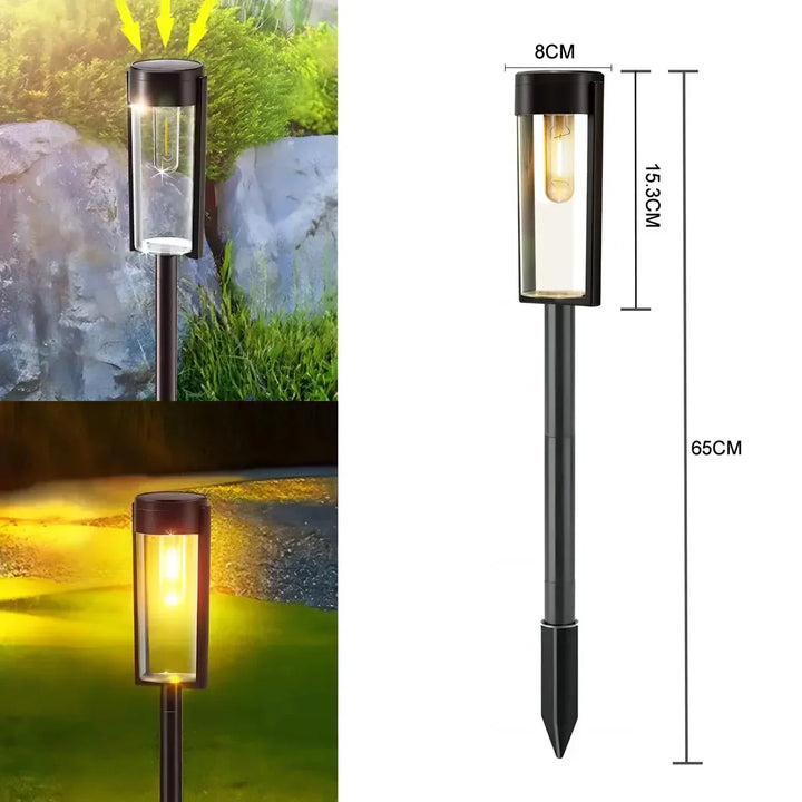 BowLift | EcoShine (2 pieces)