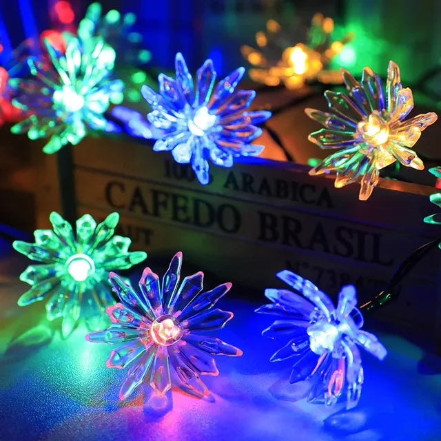BowLift | Peach Blossom Fairy Lights