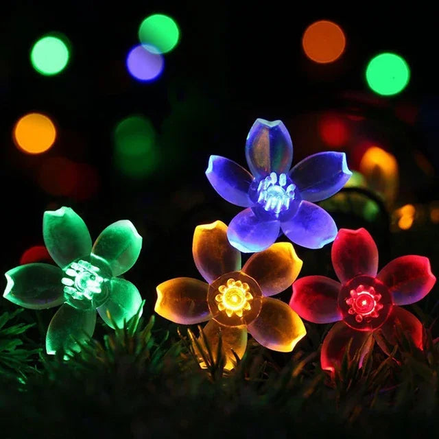 BowLift | Peach Blossom Fairy Lights