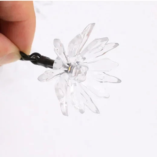 BowLift | Peach Blossom Fairy Lights