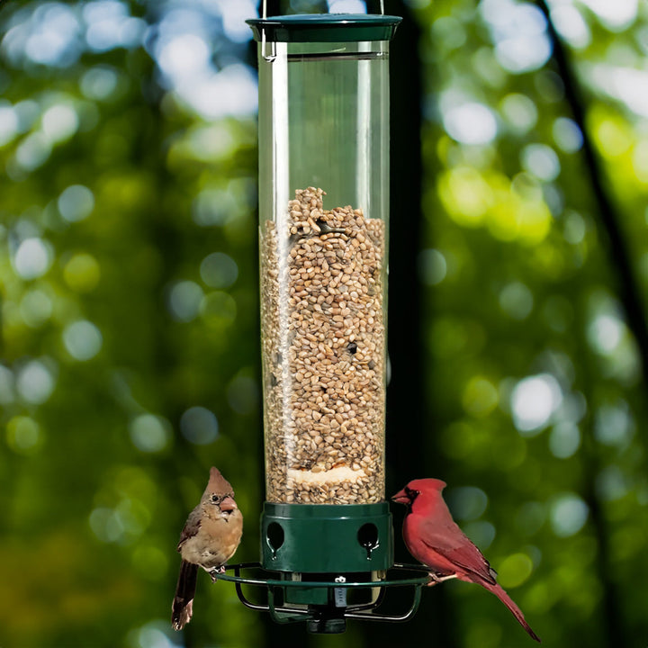 BowLift | Aviron Bird Feeder with Anti-Squirrel Protection | Spin Mechanism | 4 Feeding Openings | 2.27 kg Capacity