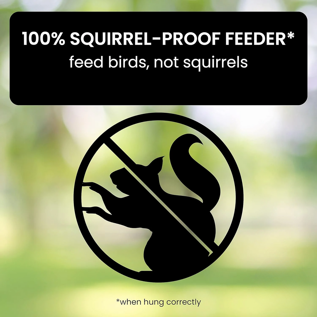 BowLift | Aviron Bird Feeder with Anti-Squirrel Protection | Spin Mechanism | 4 Feeding Openings | 2.27 kg Capacity