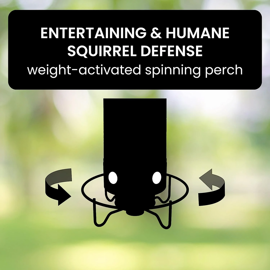 BowLift | Aviron Bird Feeder with Anti-Squirrel Protection | Spin Mechanism | 4 Feeding Openings | 2.27 kg Capacity