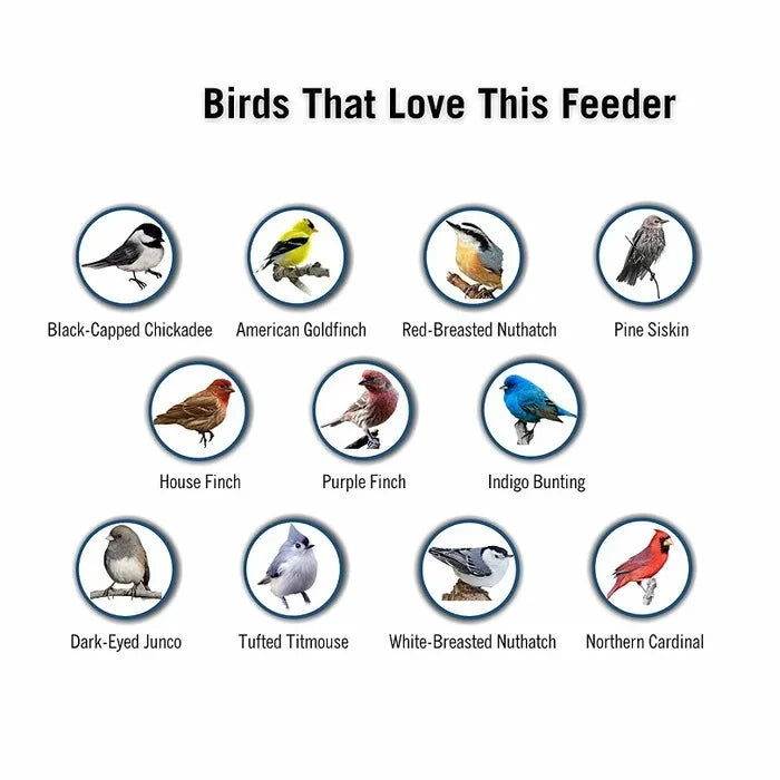 BowLift | Aviron Bird Feeder with Anti-Squirrel Protection | Spin Mechanism | 4 Feeding Openings | 2.27 kg Capacity