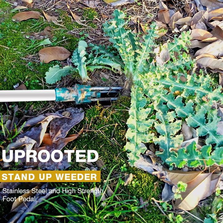 BowLift | Standing Weed Puller