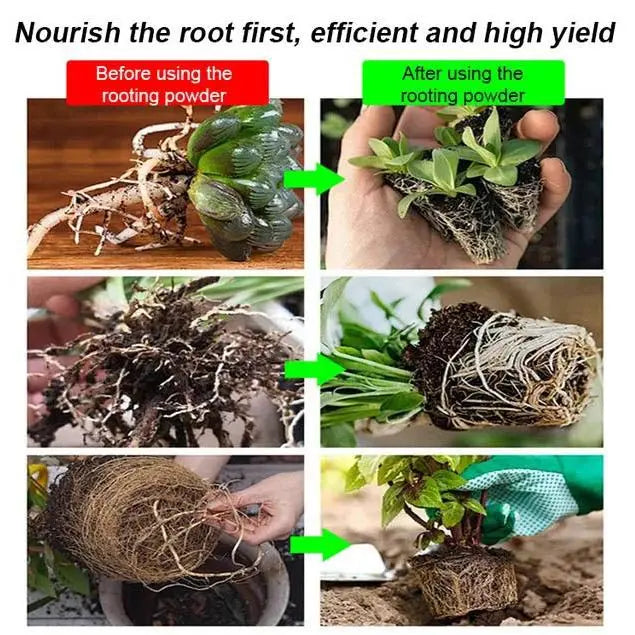 BowLift | Strong Rooting Powder for Healthy Plant Growth