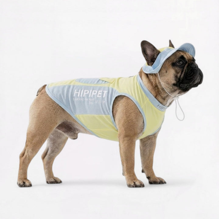 Summer Cooling Mesh Vest for French Bulldogs - Lightweight Pet Apparel | Bowlift