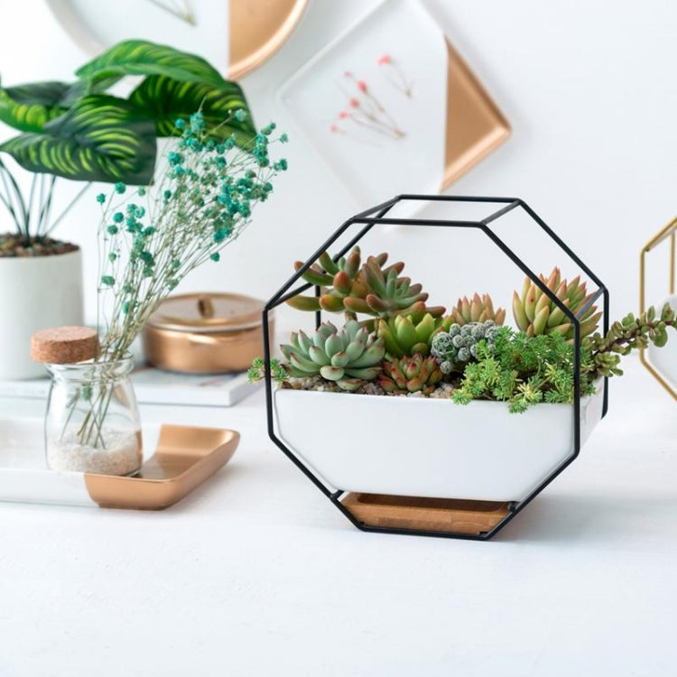 BowLift | Simple octagonal geometric wall-mounted table succulent plate bamboo support iron frame flower pot (Gold)
