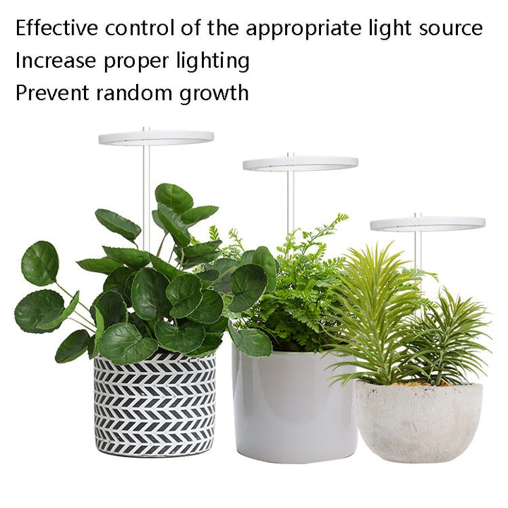 BowLift | LED Plant Growth Lamp Full Spectrum Intelligent Timer Indoor Fill Light Ring Plant Lamp, Power: One Head (Sunshine)