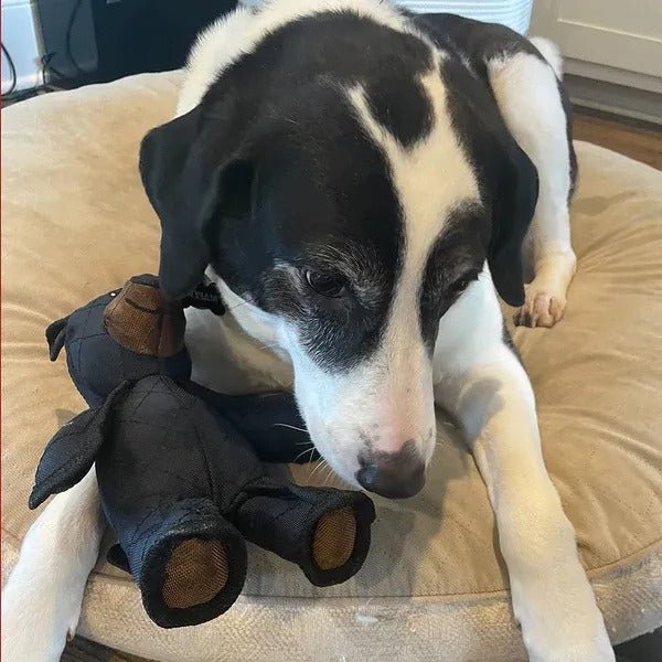 BowLift | Interactive dog toy for strong chewers