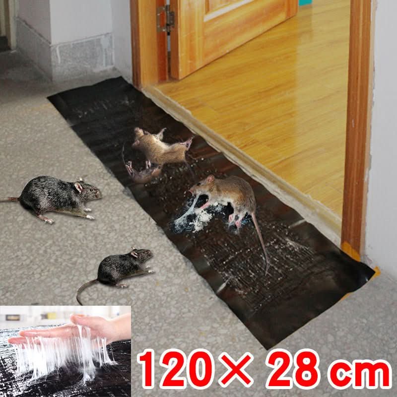 BowLift | Large Non-toxic Glue Trap for Effective Pest Control