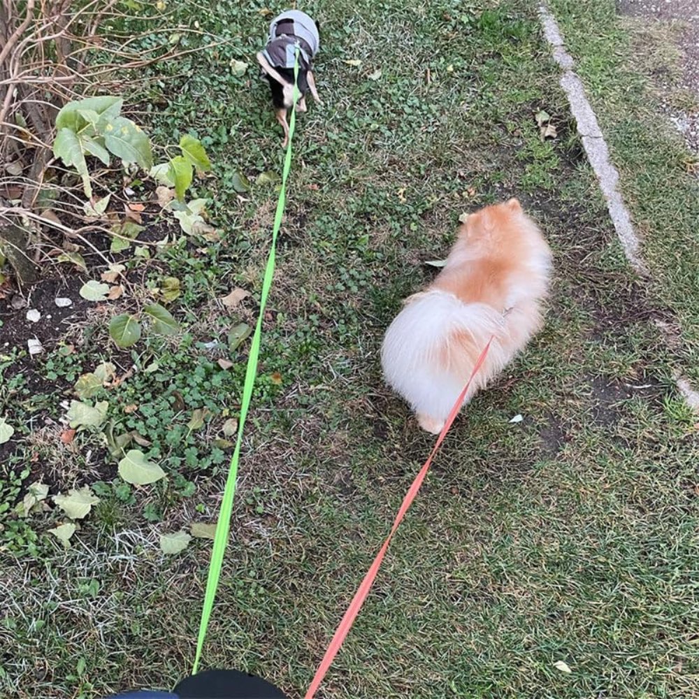 TangleFree Double Dog Leash – Tangle-Free Leash for Easy Walking with Two Dogs | Bowlift