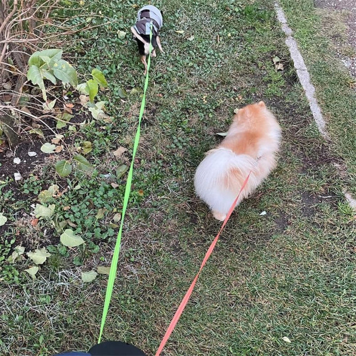 TangleFree Double Dog Leash – Tangle-Free Leash for Easy Walking with Two Dogs | Bowlift