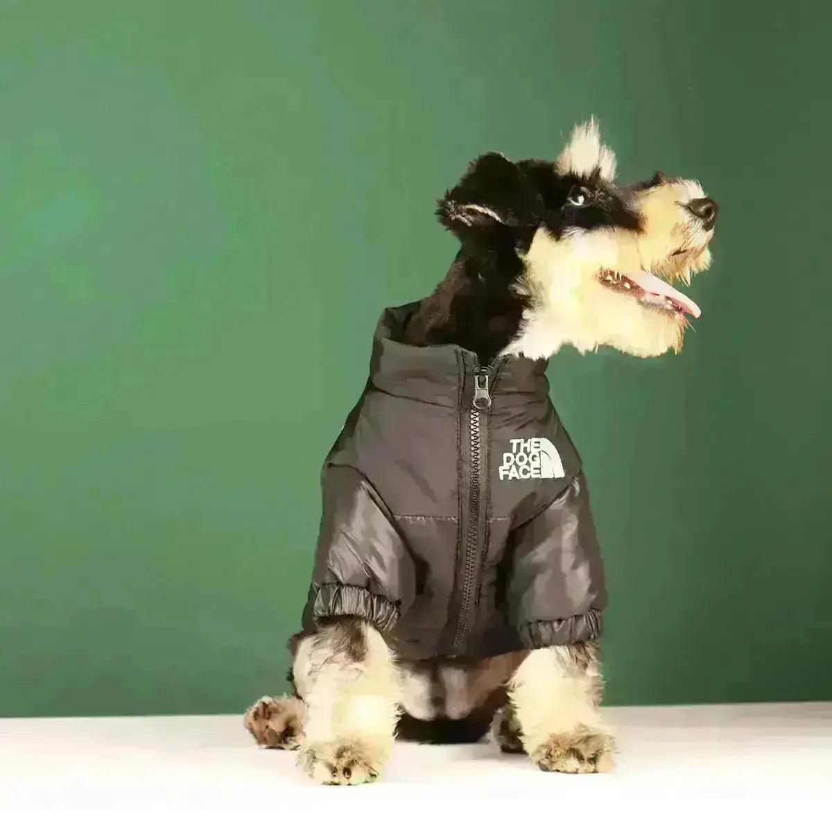 BowLift | The Dog Face Jacket - Type A