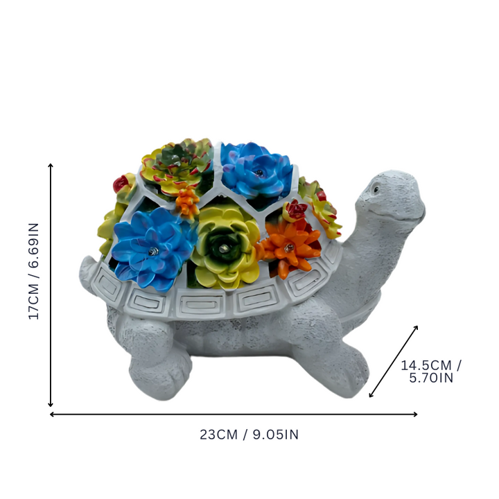 BowLift | TortiBloom