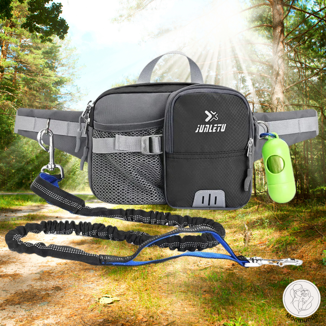 BowLift | PupLeash Walks Made Easier