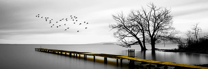 Tranquil Lake Pier Wide Format Landscape Wall Art Fine Canvas Prints Black White Pictures Of Calm For Above The Sofa Picture For Above The Bed | Bowlift