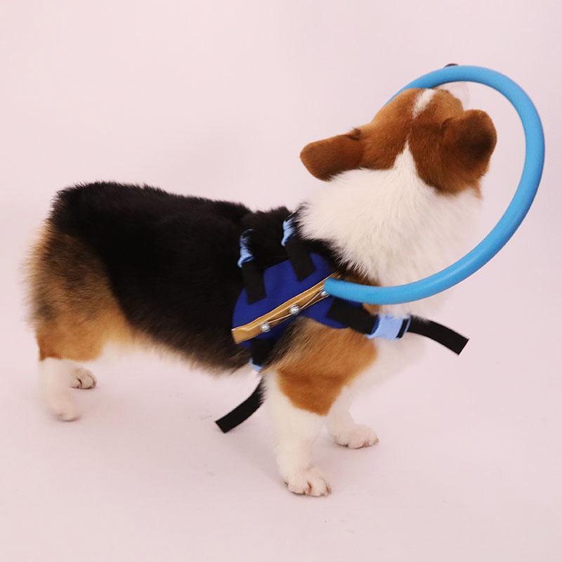 BowLift | Bumper Collar Guide For Blind Dogs Harness