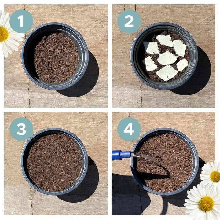 BowLift | Eco-friendly Plantable Seed Calendar 2025 – Grow Year-Round