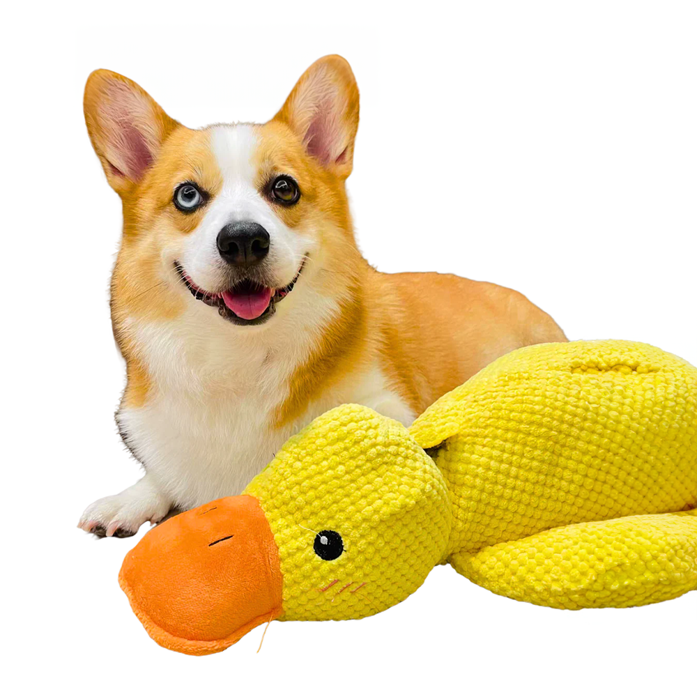 BowLift | Dog Toy Plush Duck Mental Stimulation