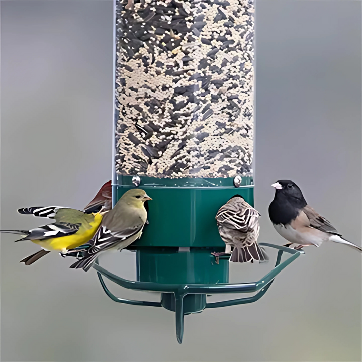 BowLift | Bird Feeder Metal Hanging Squirrel Proof Design