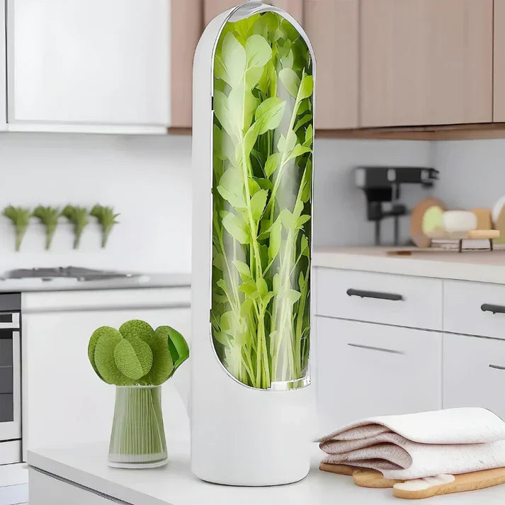 BowLift | Airtight herb container for longer freshness & space-saving storage