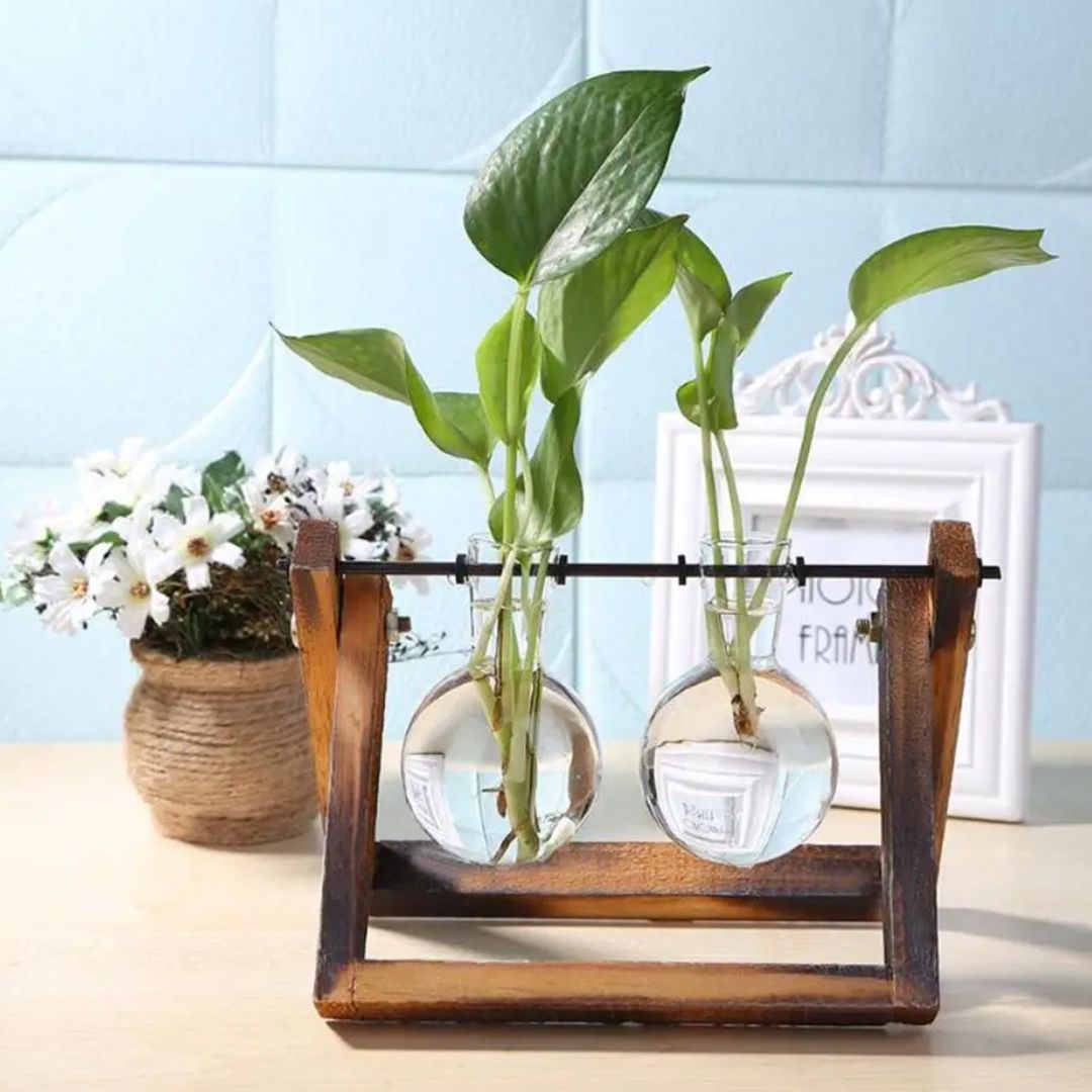 BowLift | Modern hydroponic pot with a wooden tray