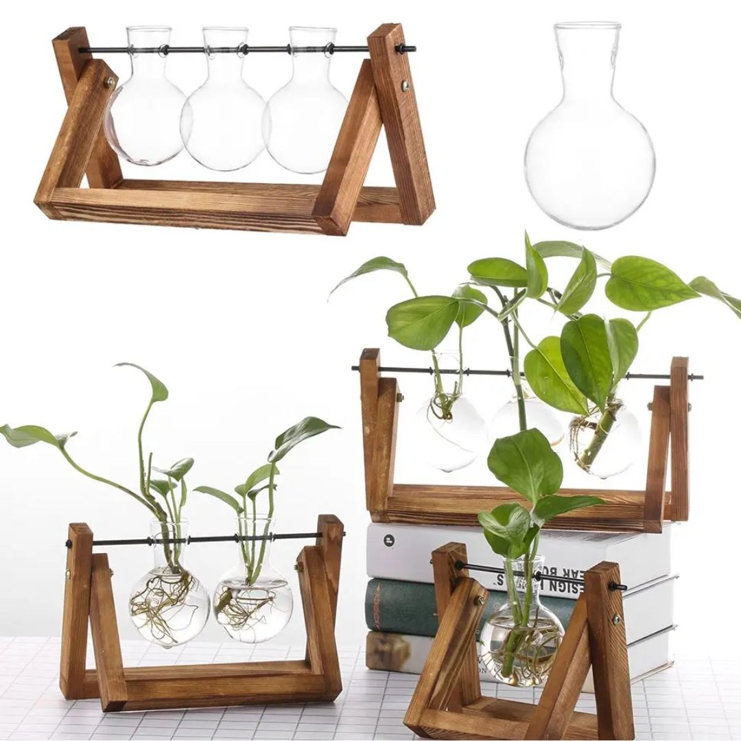 BowLift | Modern hydroponic pot with a wooden tray
