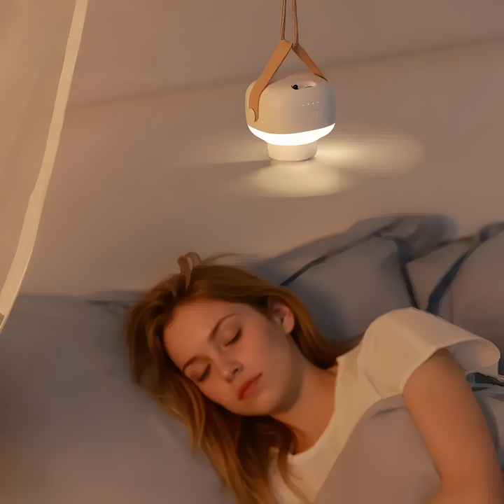 BreezeNova - PortaBowlifte ceiling fan light with remote control | Bowlift