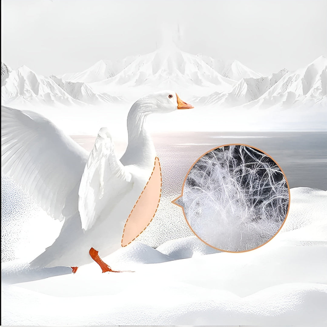 Down pillows with goose down – Luxurious, soft, and hypoallergenic | 100% cotton with optimal neck support | Bowlift